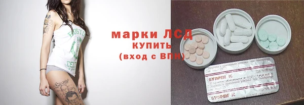 apvp Алексин