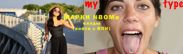 apvp Алексин